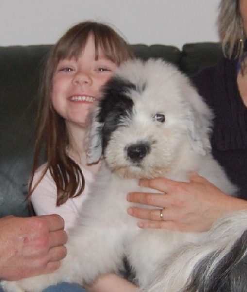 Publication : de la Coupe de Cristal