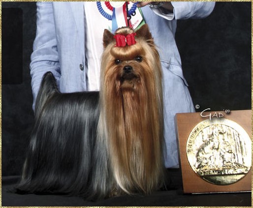 Publication : du Puy Doré Auteur : M. BOSQ