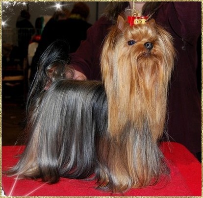 Publication : de la palmeraie du couloumé