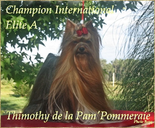 Publication : de la palmeraie du couloumé