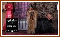 Publication : de la palmeraie du couloumé