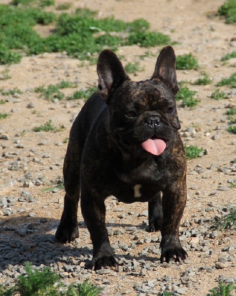 Gourmandise d'hiver du domaine de Bodaway