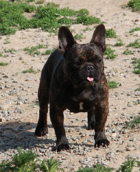 Gourmandise d'hiver du domaine de Bodaway