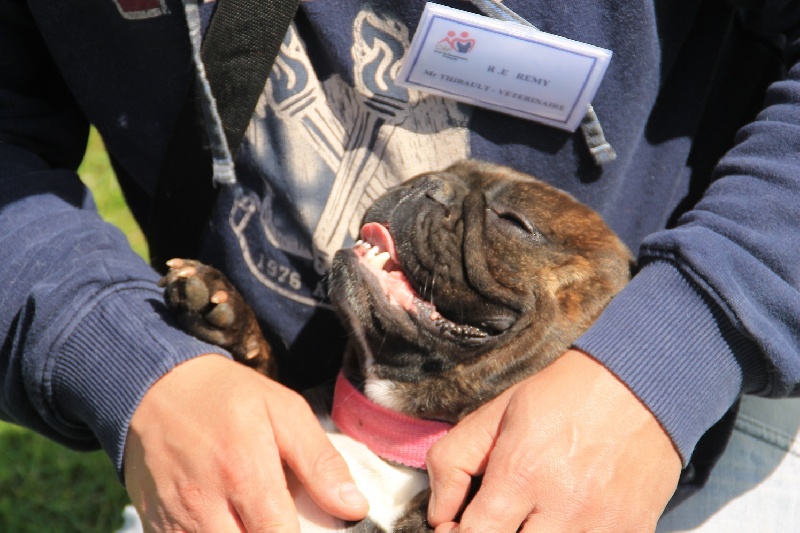 Eclypse du domaine de Bodaway - Excellent non classé en classe ouverte