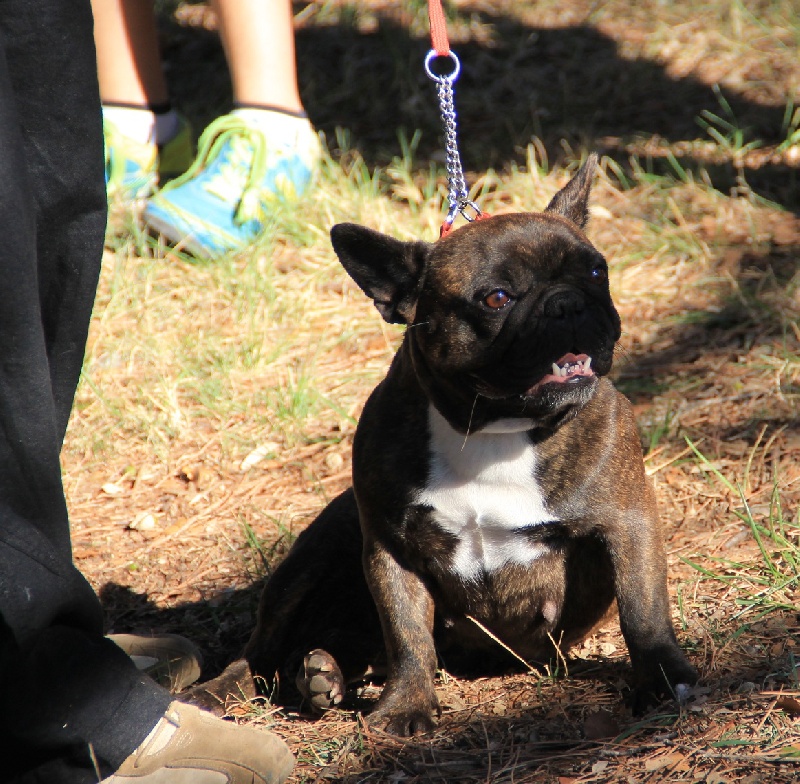 Eclypse du domaine de Bodaway - excellent non classé
