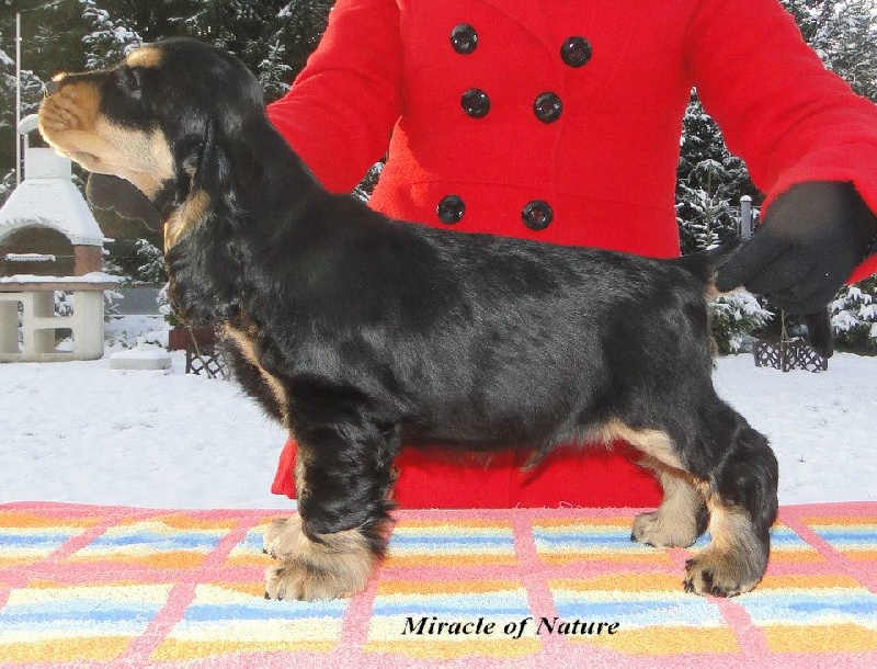 Publication : des tilleuls d'Arbageas Auteur : lageyre