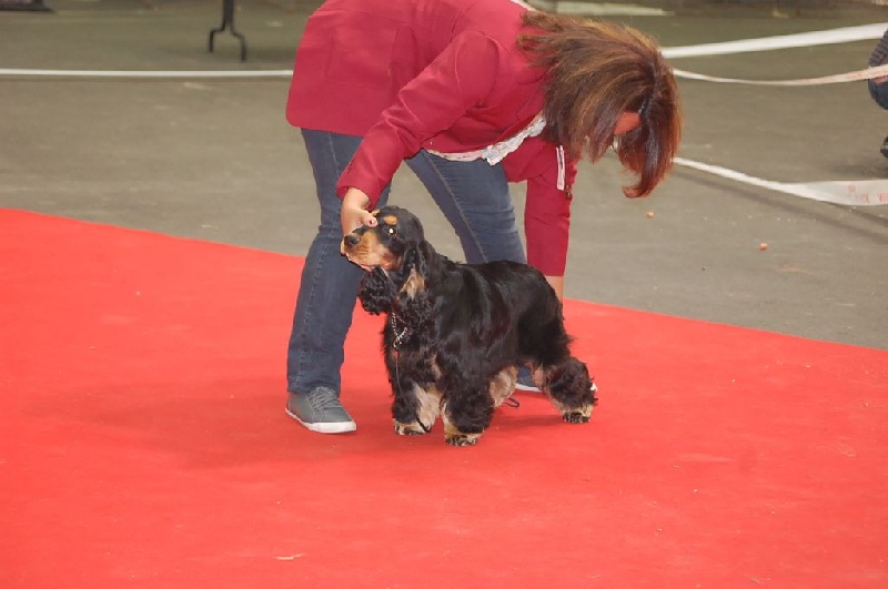 Publication : des tilleuls d'Arbageas Auteur : lageyre