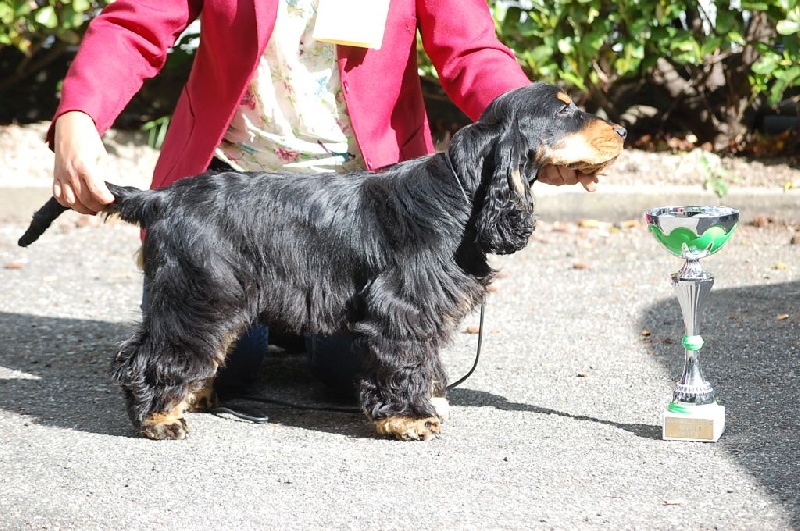 Publication : des tilleuls d'Arbageas Auteur : lageyre