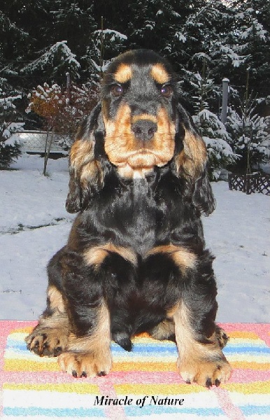 Publication : des tilleuls d'Arbageas Auteur : lageyre