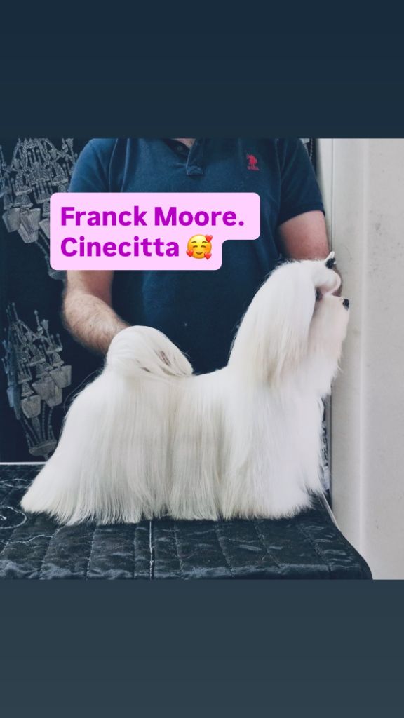 Frank moore cinecitta'