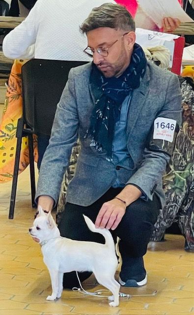 Pandora's di rio Galeria