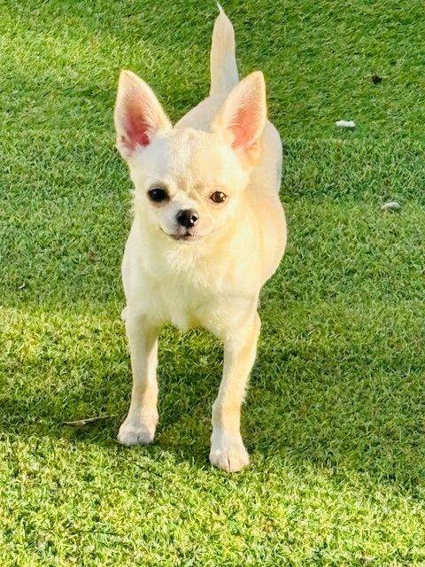 Pandora's di rio Galeria