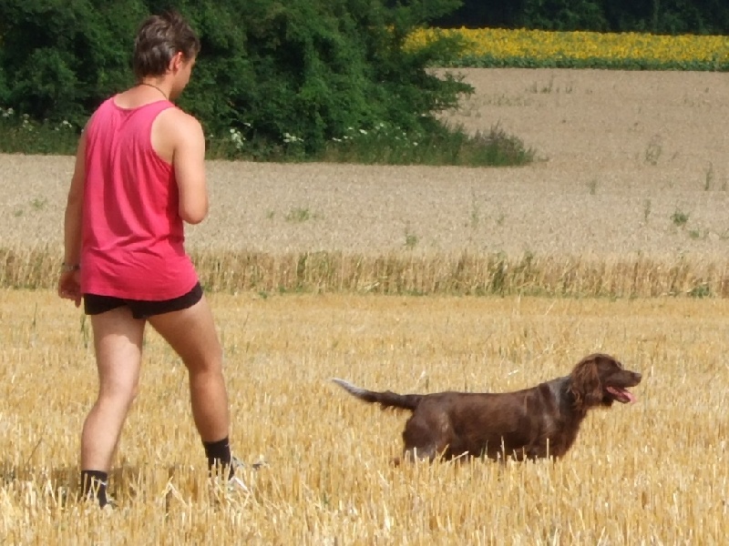CH. URKA du vent des Monts de Balerne - Première excellente