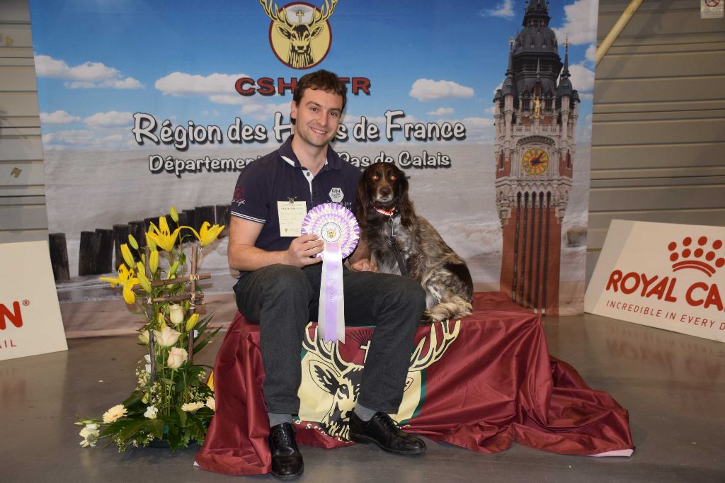 CH. Jorka du vent des Monts de Balerne - 1er EXCELLENT CACS Meilleur de race