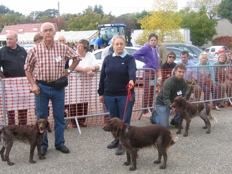 CH. URKA du vent des Monts de Balerne - Première excellente