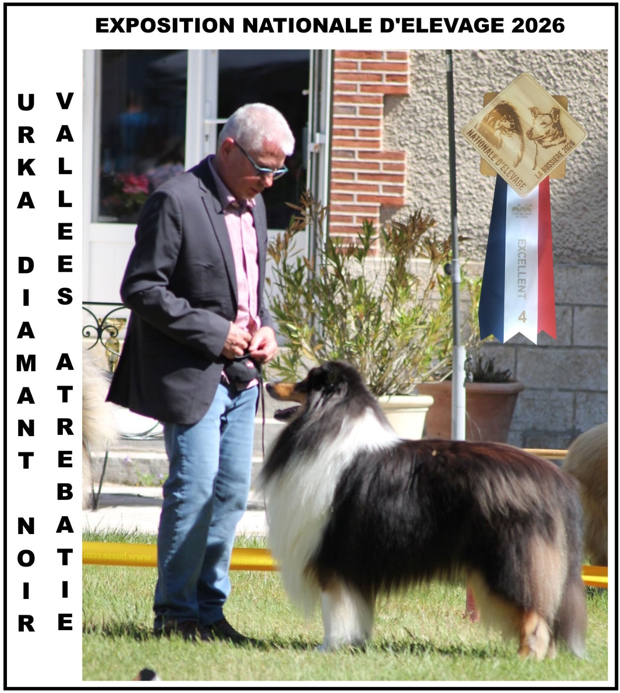 Urka diamant noir des vallées d'Atrébatie - 4ème EXCELLENT classe ouverte mâle