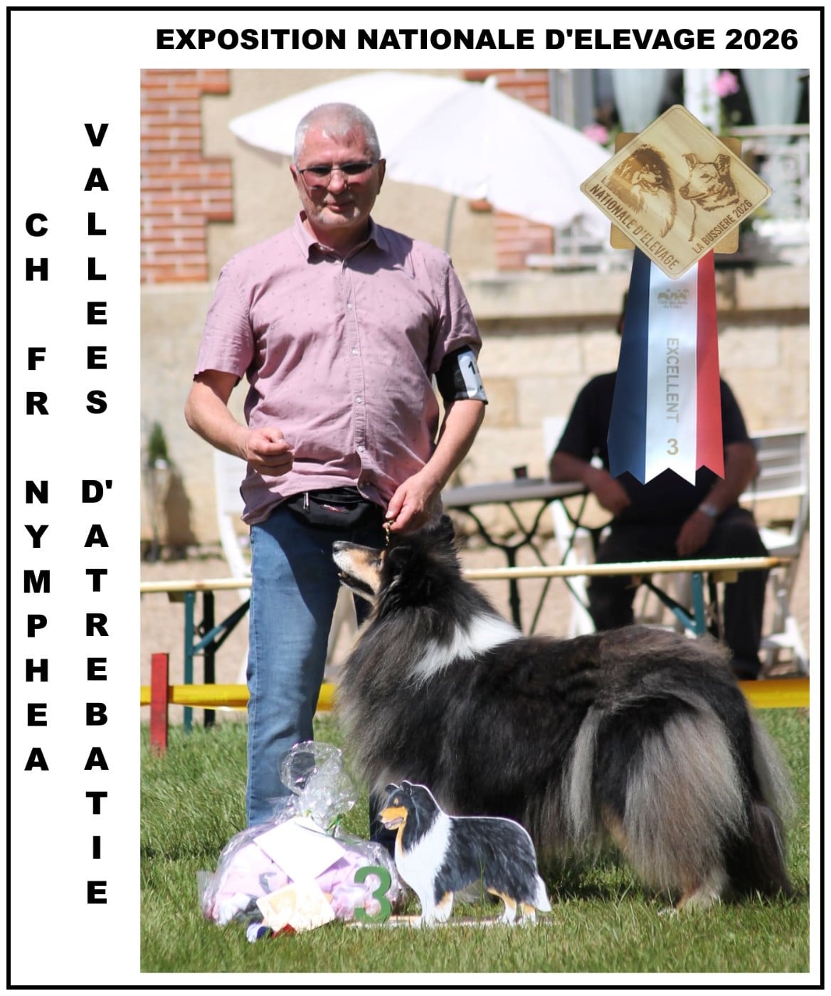 CH. Nymphéa des vallées d'Atrébatie - 3ème EXCELLENT classe vétéran femelle