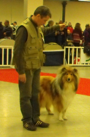 CH. Conte et légende d' Akerna denebola - 3ème EXCELLENT