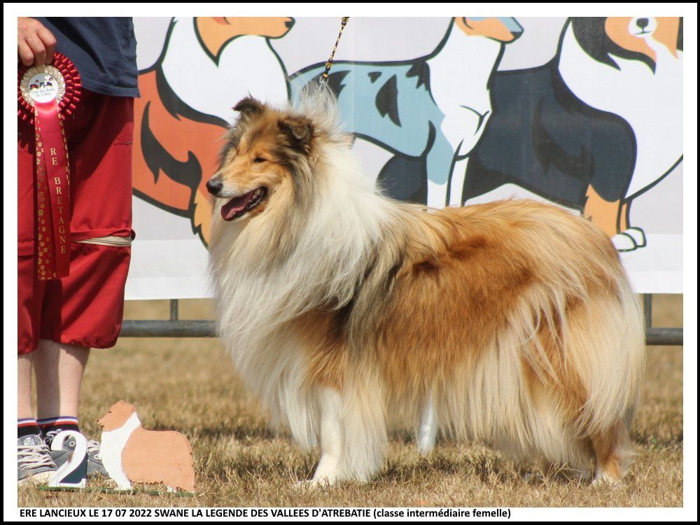 Swane la légende des vallées d'Atrébatie - 2ème Excellente en Classe Intermédiaire Femelle