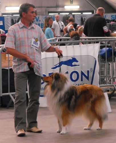 CH. Conte et légende d' Akerna denebola - 1 EXC classe ouverte CACS RCACIB
