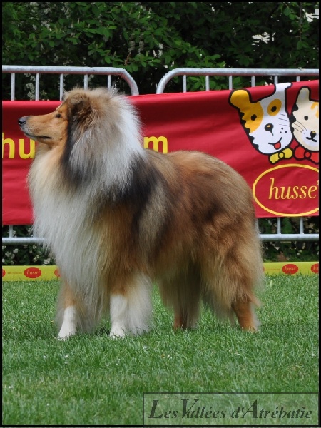 Ever fallen in love de la chapelle aux arbres - 10 EXC classe ouverte