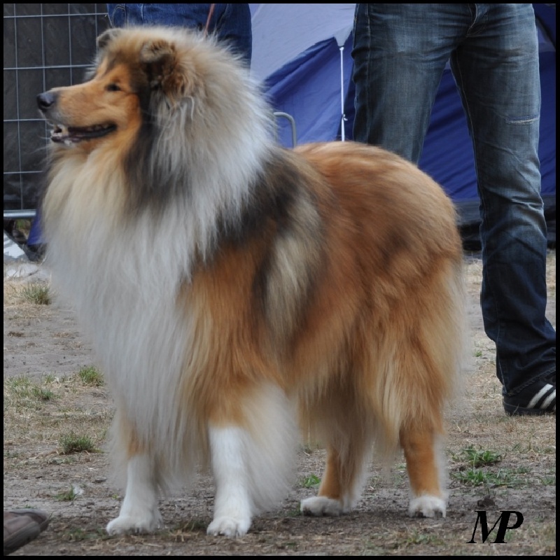 Ever fallen in love de la chapelle aux arbres - 4 EXC Classe ouverte