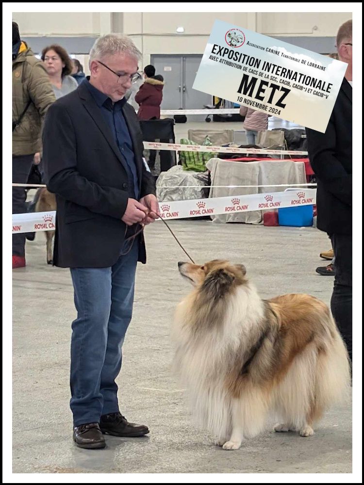 Swane la légende des vallées d'Atrébatie - 2ème Excellente Classe Ouverte Femelle