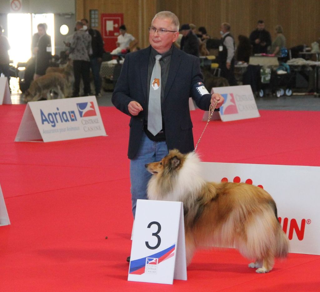 Swane la légende des vallées d'Atrébatie - 3ème Excellente en classe Jeune Femelle.