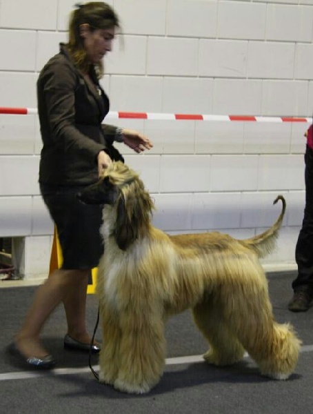 CH. Alishan's Feel's like a woman - 3eme TB