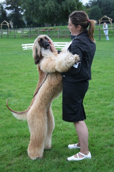 CH. Alishan's Feel's like a woman - 2ème exc classe jeune