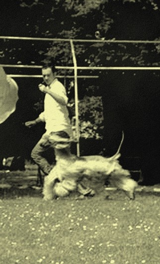 CH. Alishan's Feel's like a woman - 4ème Excellent Classe Ouverte Femelle