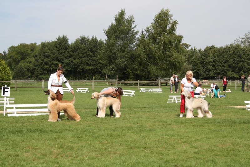 CH. Alishan's Feel's like a woman - 2ème exc classe jeune