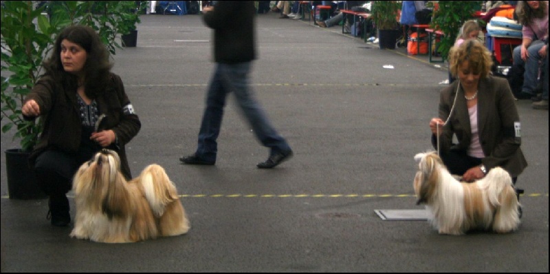 Publication : von Lao Tingri Auteur : Solaro Hirtia