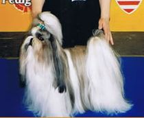 Publication : von Lao Tingri