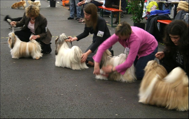 Publication : von Lao Tingri Auteur : Solaro Hirtia