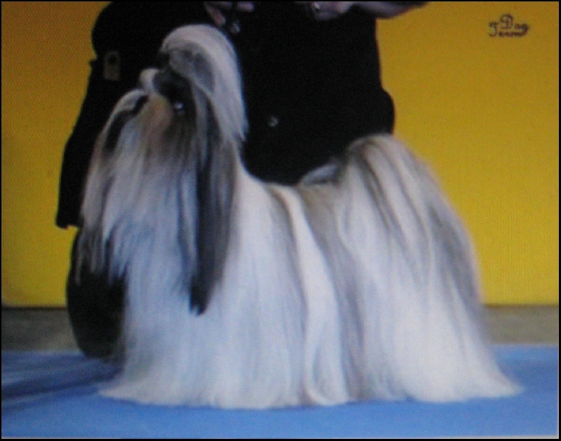 Publication : von Lao Tingri