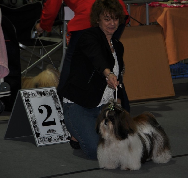 CH. Ang-ki von Lao Tingri - Excellent 2èm Reserve J-CAC-VDH