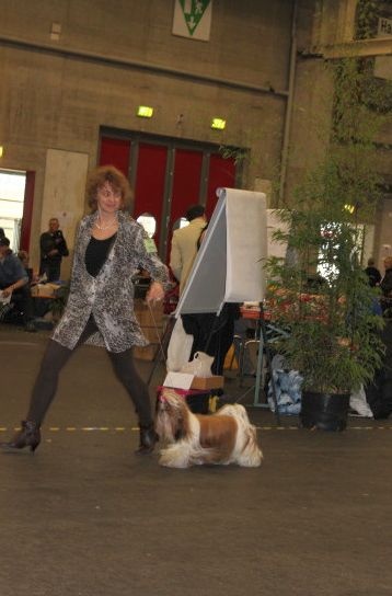 CH. colorio Zsazsa gabor - Excellent 2ème, Reserve-CAC