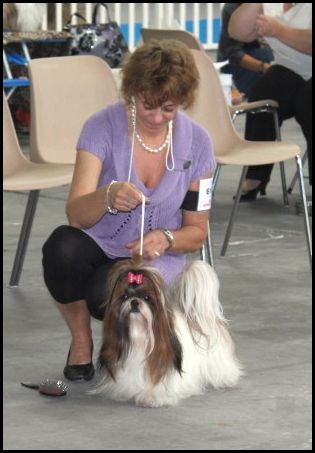 Venus von Lao Tingri - Excellent 1 ère, CAC, BOB