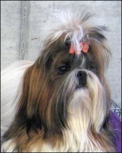 Venus von Lao Tingri - Très Bon 2ème