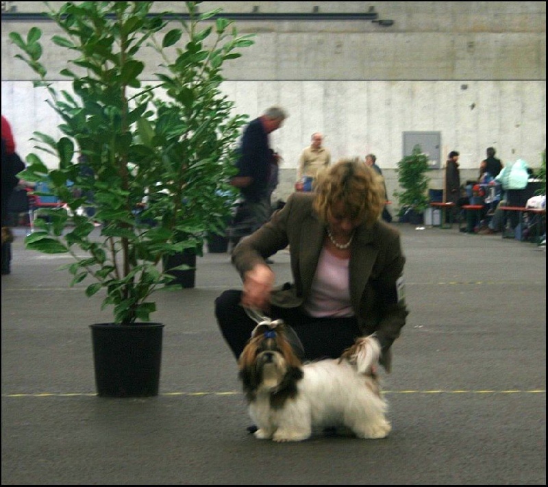 Venus von Lao Tingri - Très Prometteur 1ère, Meilleur très Jeune