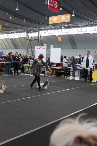 Venus von Lao Tingri - Excellent 2ème, Reserve CAC