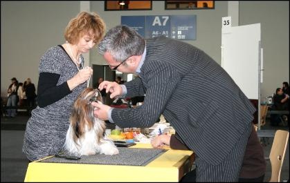 Venus von Lao Tingri - Excellent 1ère CAC-J, Bodenseesiegerin