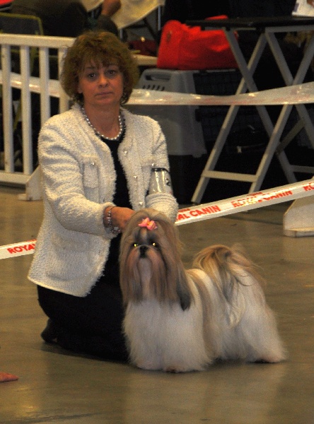 CH. Zhen-lin von Lao Tingri - Excellent 2ème