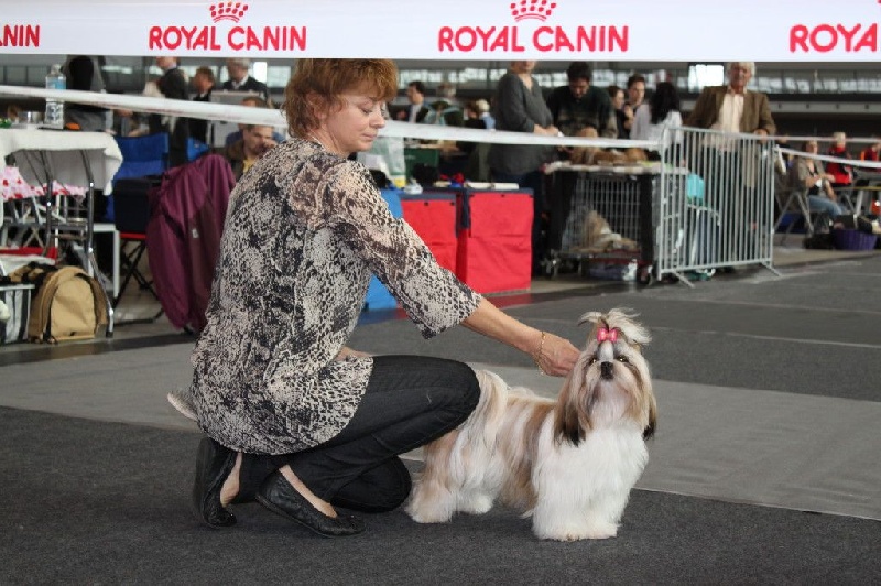 CH. Zhen-lin von Lao Tingri - TB 1ère