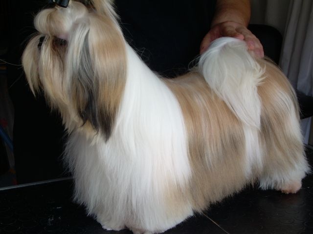 solaro Hero - Excellent 1ère, Meilleur Jeune