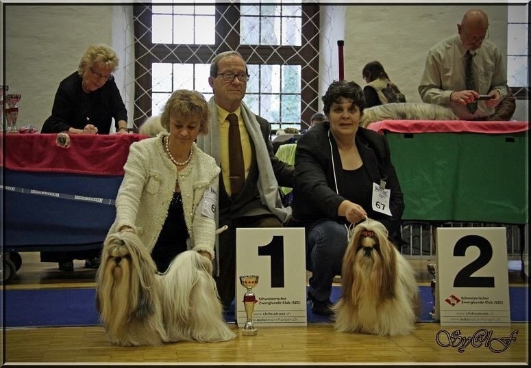 CH. Zen-pa von Lao Tingri - Exc. 1èr, CAC