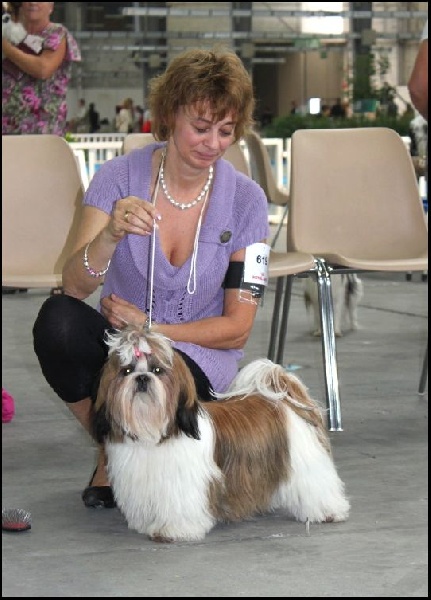 CH. colorio Zsazsa gabor - Excellent 1ère, Meilleure Jeune Femelle, Meilleure Jeune de la Race...