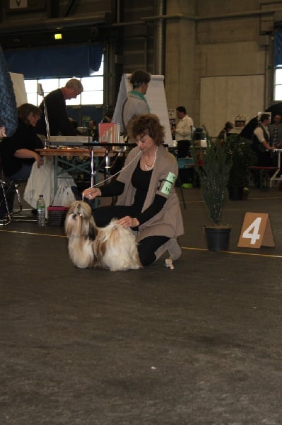 CH. Zen-pa von Lao Tingri - Cl. interm. Exc.1èr, CAC, Reserve CACIB