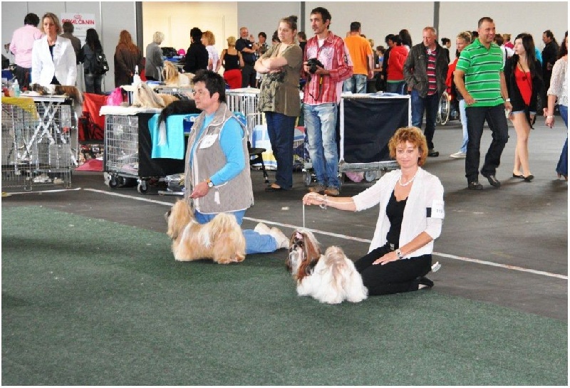 Venus von Lao Tingri - Excellent 2ème